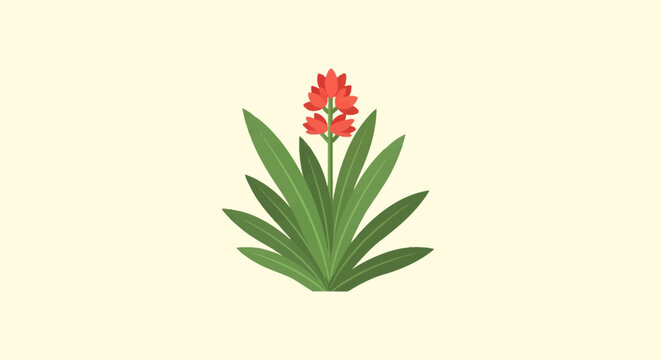 Flat vector graphic of a flowering tropical plant featuring long green tapering leaves in a rosette pattern and a vertical stalk with red blossoms on a neutral background.