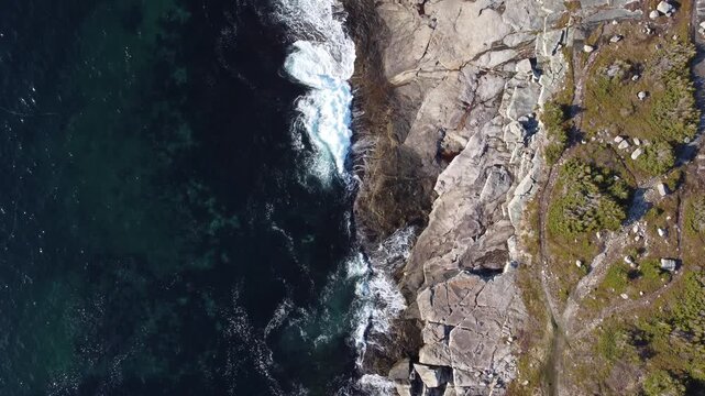 Newfoundland - Rugged Shore