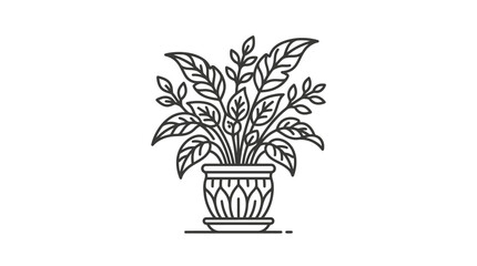 Potted houseplant with large leaves in decorative ornate pot. © khirul afandi