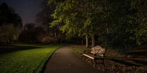 Obraz premium Quiet Night Park with Subtle Lighting and Natural Surroundings