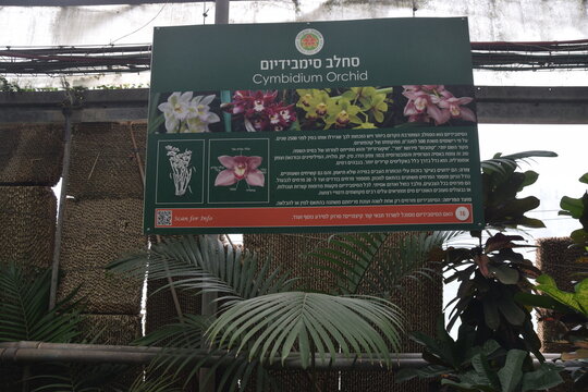 Orchid information sign