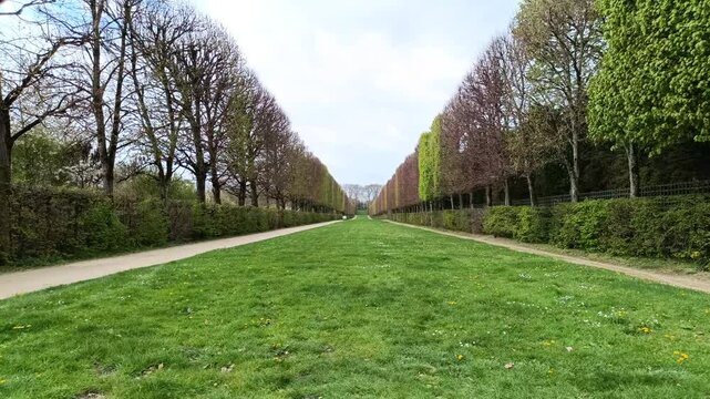 Beautiful vanishing point perspective of a long alley with trees in a public park in Paris, France, eb01