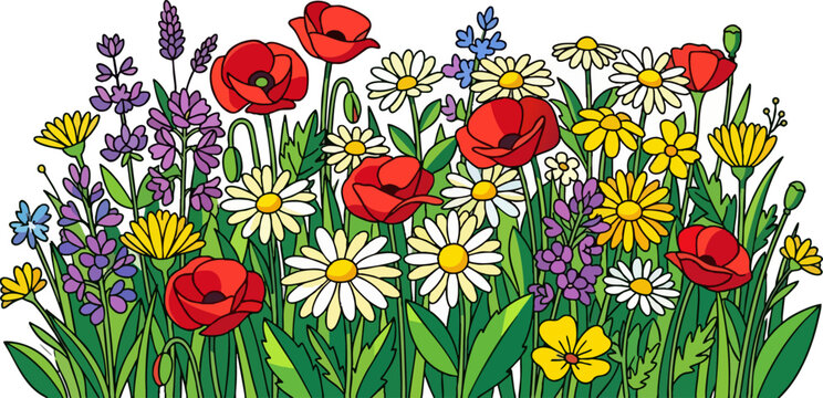 Vibrant Spring Floral Border with Poppies and Daisies