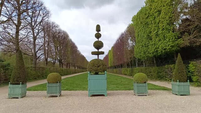 Perfectly manicured topiary trees and bushes lining a symmetrical gravel path in a formal garden, eb01