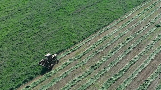 Aerial view of a tractor harvesting hay in a green field on a sunny day