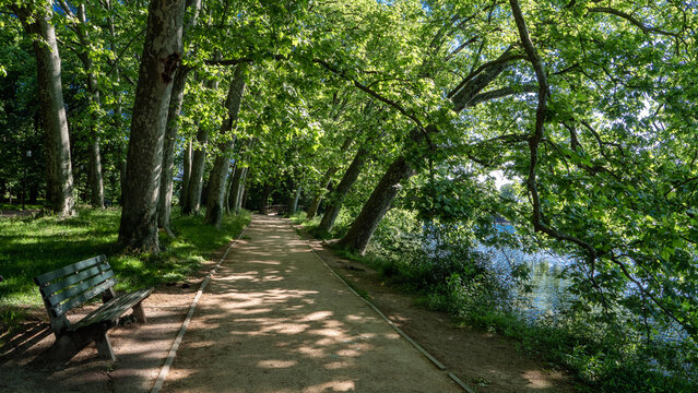 All&eacute;e ombrag&eacute;e bordant un plan d&rsquo;eau dans un parc verdoyant, avec grands arbres, banc de repos et lumi&egrave;re naturelle filtrant &agrave; travers le feuillage, ambiance calme et paisible