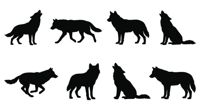 Wolf Silhouettes Collection Black Shapes On White Background