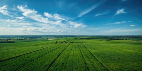 Obraz premium Expansive summer terrain observed from aerial vantage point