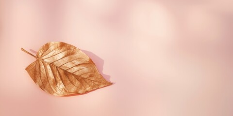 Obraz premium Soft pastel backdrop highlighting an isolated dried golden leaf including copy space