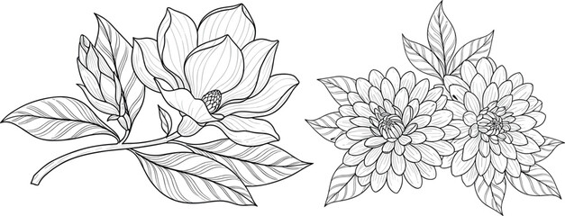 Elegant botanical sketch set with detailed magnolia and chrysanthemum floral elements hand drawn line art vectors for decorative greeting card design © RAJU