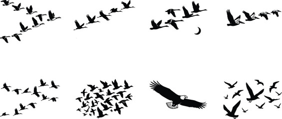 Flock of flying birds silhouette set featuring migrating geese in v formation soaring eagles ducks and seagulls © MstRehna