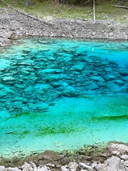 Obraz premium Five-Color Pond, Scenic view of Turquoise lake and pine tree forest in Jiuzhaigou National Park, Sichuan, China, during summer, June - Vertical photo