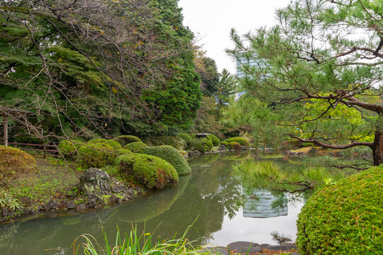  Japanese Garden at Shinjuku gyoen in Tokyo, Japan