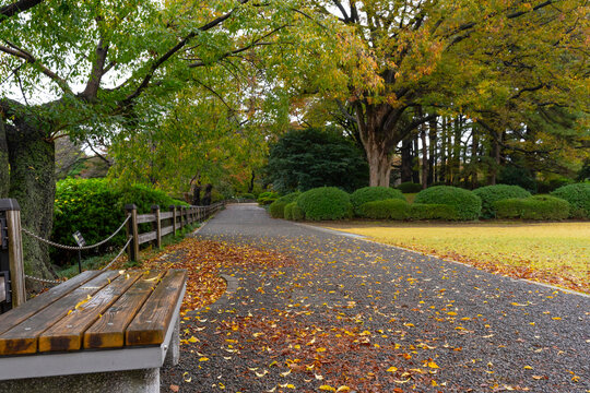 Shinjuku Gyoen National Garden is a large park and garden in Shinjuku and Shibuya, Tokyo, Japan.