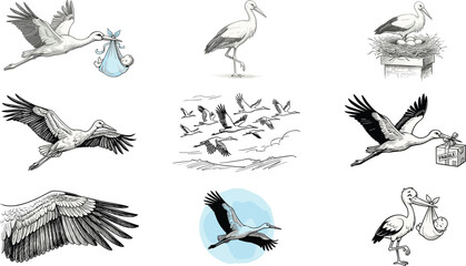 Obraz premium White stork vector set baby delivery illustration flying migratory birds flock standing heron in nest detailed engraving line art collection isolated on white background