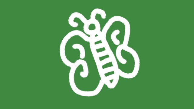 Butterfly insect biodiversity hand-drawn cartoon graphic chalk outline spring nature icon isolated on green screen background for sustainable ecology line art element concept.