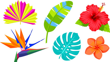 Exotic Tropical Flowers and Monstera Palm Leaves Colorful Vector Illustration Set Featuring Bird of Paradise, Red Hibiscus, Orange Frangipani, and Banana Leaf © MdMohsin