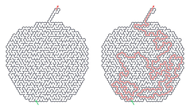 Apple form maze with entry exit solution diagram, labyrinth for puzzle games workbook, help navigate through educational activity
