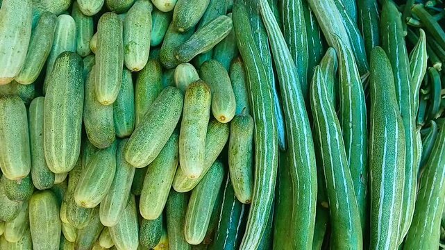 Fresh winter vegetables of India