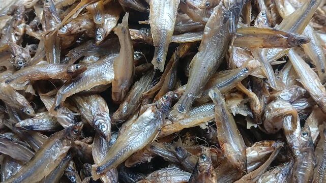 Closeup video of dried fish.
