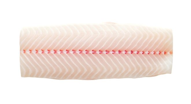 Raw white fish fillet isolated on transparent background