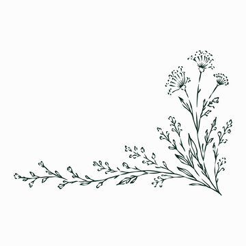 Hand Drawn Autumn Leaves and Flowers Line Art