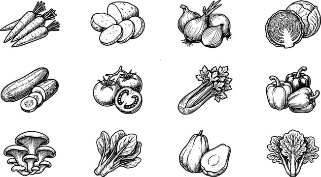 Hand Drawn Vegetable Collection Vector Set &ndash; Carrot, Potato, Onion, Cabbage, Cucumber, Tomato, Celery, Bell Pepper, Mushroom, Lettuce and Avocado