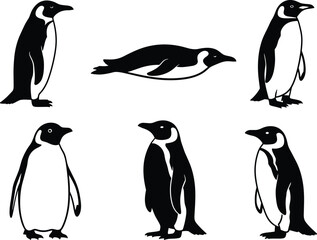 Six black‑and‑white penguin silhouettes in varied poses, featuring upright standing positions and one sliding posture, emphasizing distinctive body outlines © boishakhisarker