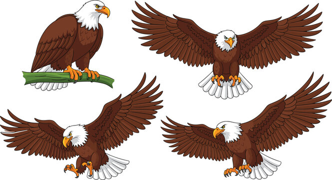 Bald Eagle Vector Cartoon Mascot Set with Birds Flying Soaring and Perching on a Branch for Sports Team Logos and American Patriotic Graphic Designs