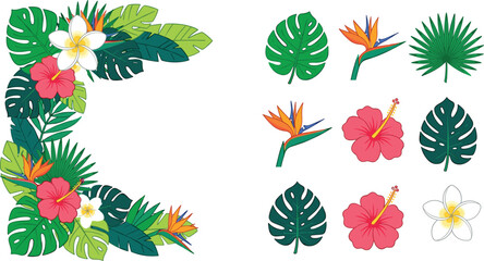 Tropical Floral Border and Botanical Foliage Element Set Featuring Monstera Palm Fronds Hibiscus Plumeria and Bird of Paradise Flowers Vector Illustration © Shilpi