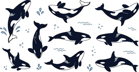 Orca Whale Collection Featuring Killer Whale Poses, Marine Wildlife Illustrations, Ocean Mammals, and Aquatic Nature Designs © Priyanka