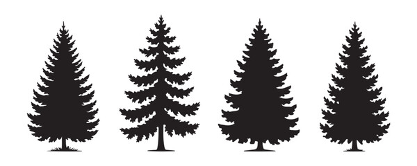 Set of pine trees silhouette isolated on transparent background coniferous forest design element. © Sumon