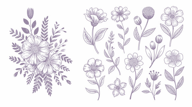 Floral ornament collection a detailed vector illustration with sketched botanical elements on a white background flower blossom bloom sketch drawing