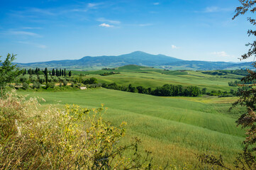 Naklejka premium Panoramic view of the hills and countryside surrounding the village of Pienza (Tuscany village, Italy) during early summertime.