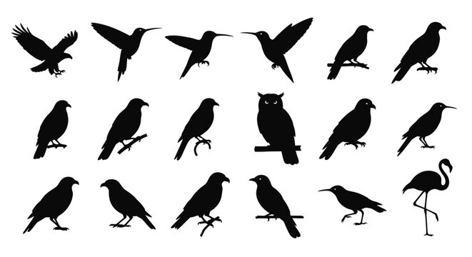 Collection of various bird silhouettes including hummingbirds owls crows herons and a flamingo showcasing different postures and flight positions in black on a white background