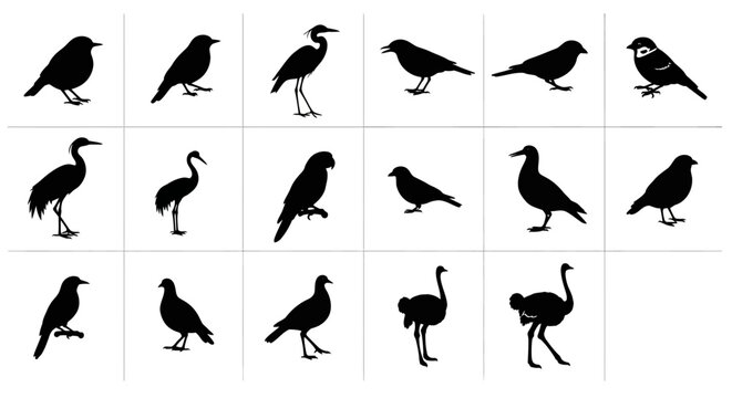 Collection of black silhouette bird icons featuring various species including herons crows and storks set against plain white background for versatile design use