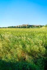 Naklejka premium Panoramic view of the hills and countryside surrounding the village of Pienza (Tuscany village, Italy) during early summertime.