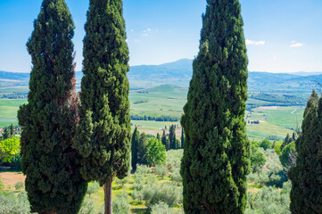 Naklejka premium Panoramic view of the hills and countryside surrounding the village of Pienza (Tuscany village, Italy) during early summertime.