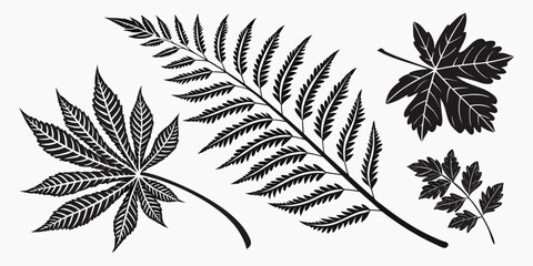 Set of detailed botanical leaf silhouettes and tropical fern foliage with botanical silhouette tropical illustration isolated decoration minimalist monochrome artistic woodland ornament © AG