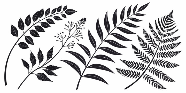 Assorted botanical leaf and fern branch silhouettes for graphic design with botanical silhouette tropical illustration isolated decoration minimalist monochrome artistic woodland ornament