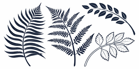 Collection of hand drawn fern and tropical leaf botanical silhouettes with botanical silhouette tropical illustration isolated greenery decoration ornament stylized collection minimalist © AG