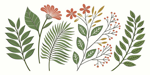 Assorted botanical foliage leaves and wildflowers set with wildflowers botanical collection illustration isolated ornamental background decorative stylized designasset vegetation decoration © AG