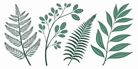 Fototapeta premium Collection of hand drawn ferns and leafy botanical branches with botanical branches collection illustration isolated plantlife ornamental background decorative stylized designasset greenery