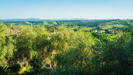 Naklejka premium Panoramic view of the hills and countryside surrounding the village of San Gimignano (Tuscany village, Italy), covered by olive trees and vineyards, during early summertime.