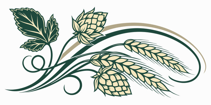Decorative floral arrangement of hop cones and wheat ears with agriculture botanical ingredient beverage ornament illustration decoration isolated production component detailed composition