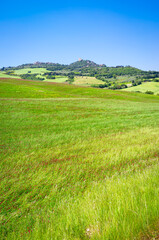 Naklejka premium Early summer panorama of the Orcia Valley. It's a countryside area in Tuscany (Italy), between Siena and Grosseto Provinces, world famous for its iconic landscapes, frequently used as movie locations.