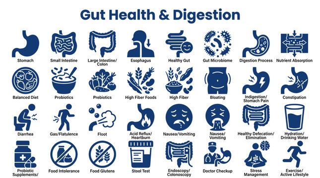 Gut Health and Digestion Icons Set: Stomach, Intestines, Probiotics, Healthy Eating, Medical Checkup, and Digestive Issues