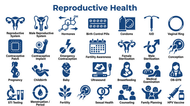 Reproductive Health Icons Set: Family Planning, Contraception, Pregnancy, STIs, and Medical Care Concepts