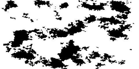 Fototapeta premium Abstract pattern of black ink splatters and organic shapes on a white background, suggesting chaos, creativity, or scientific data representation.
