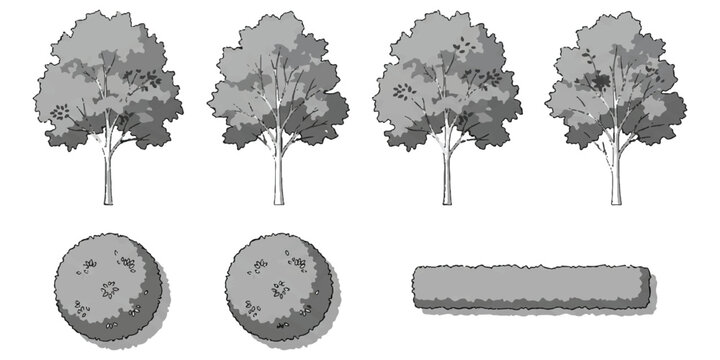 Set of grey scale tree and hedge icons for architectural landscape design plans